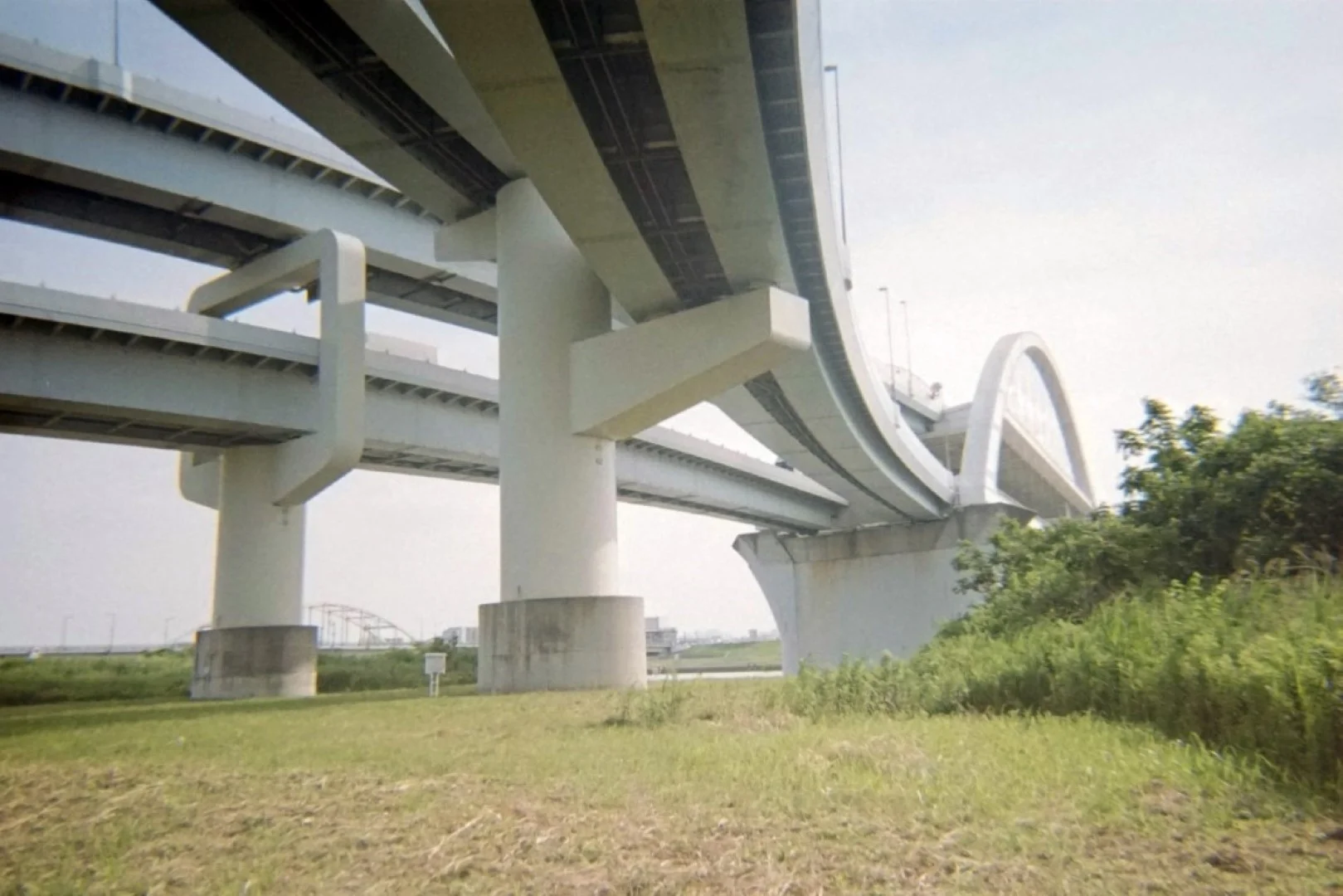 Kodak M35で撮った写真