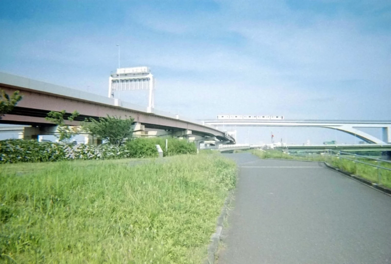 Kodak M35で撮った写真