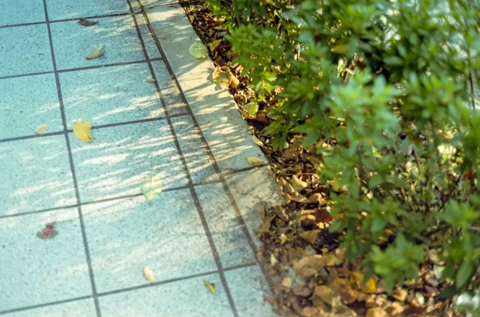 Konica FS-1 撮影した写真