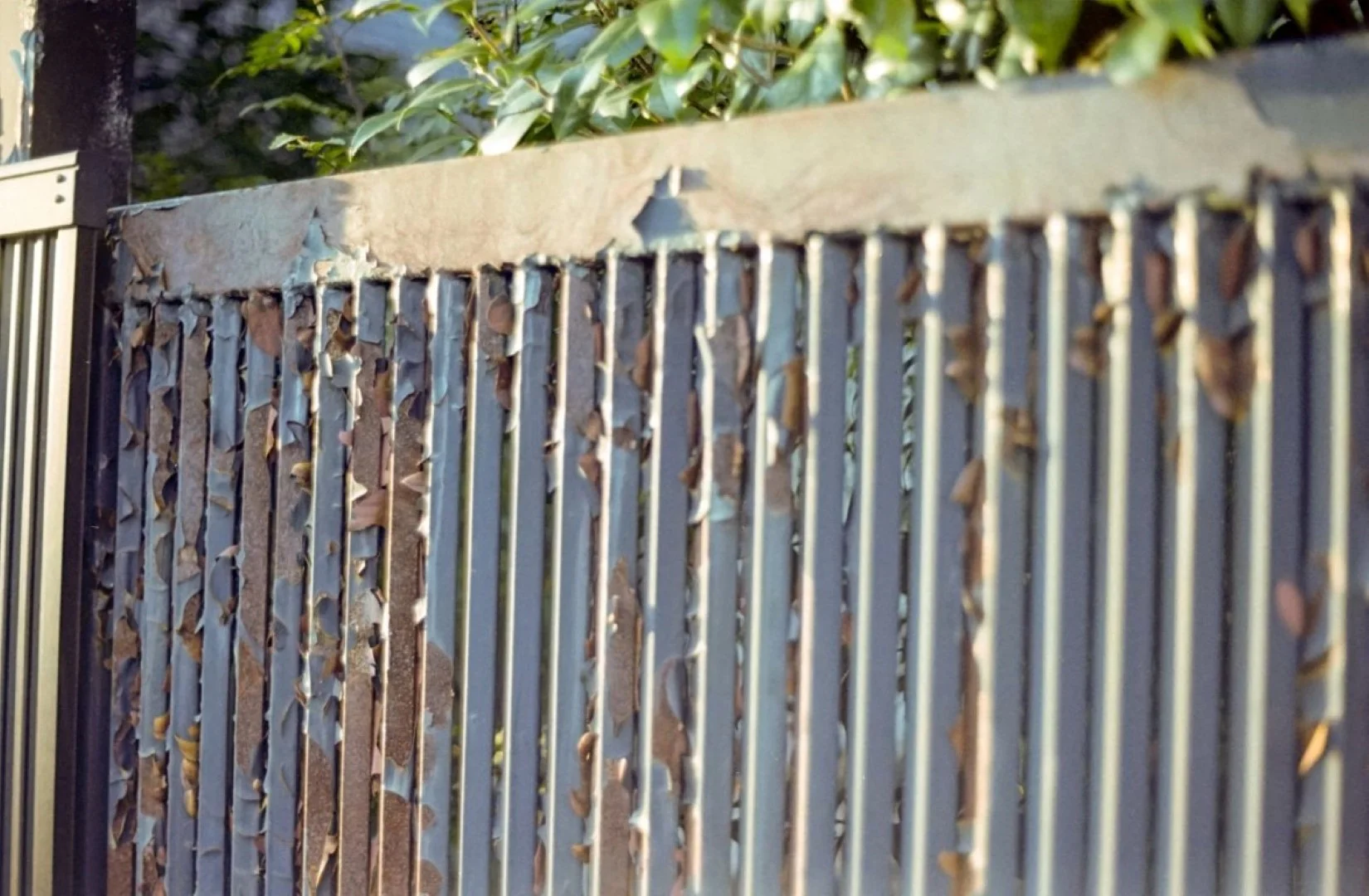 Konica FS-1 撮影した写真