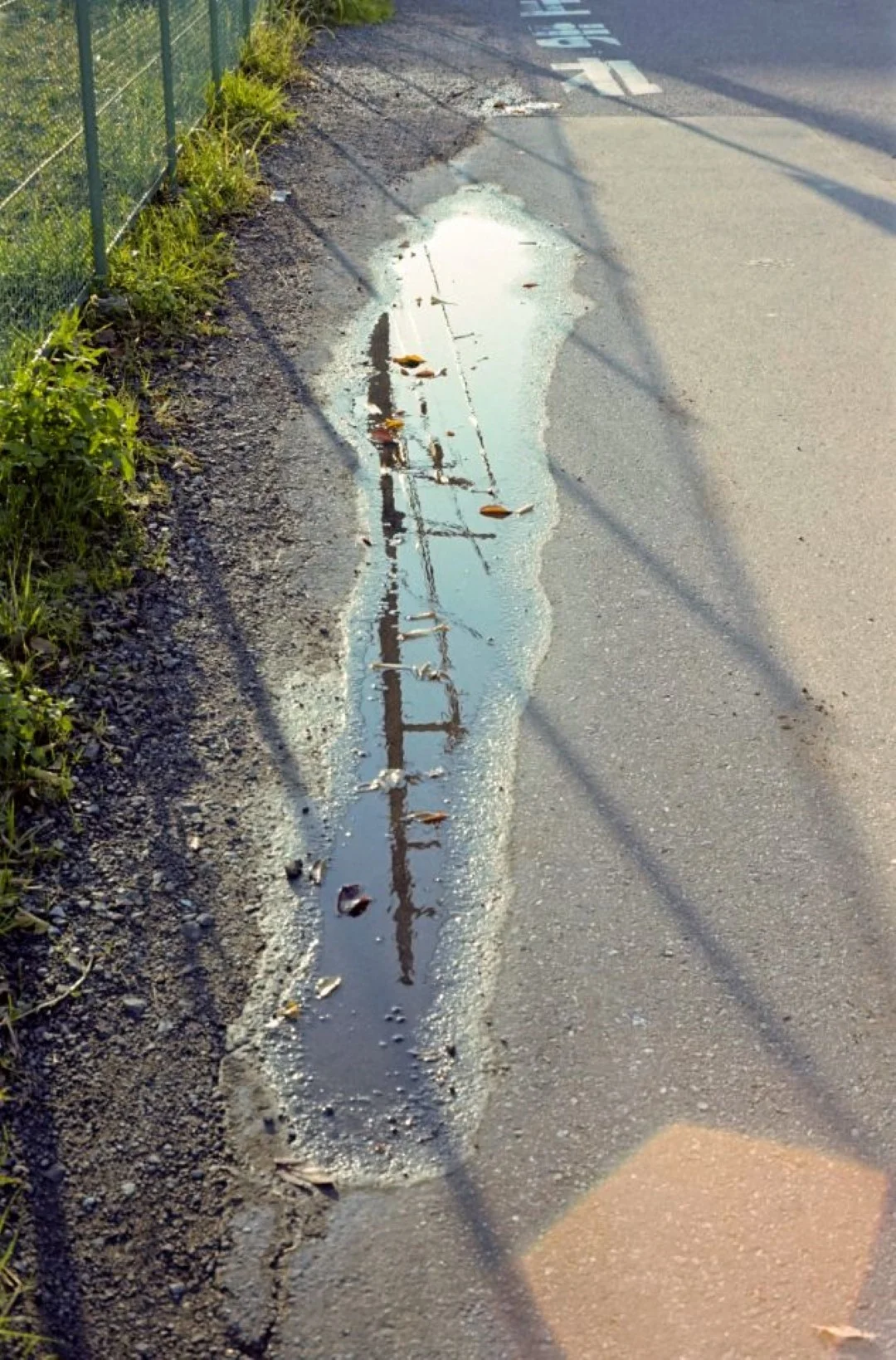 コニカSIIで撮った写真