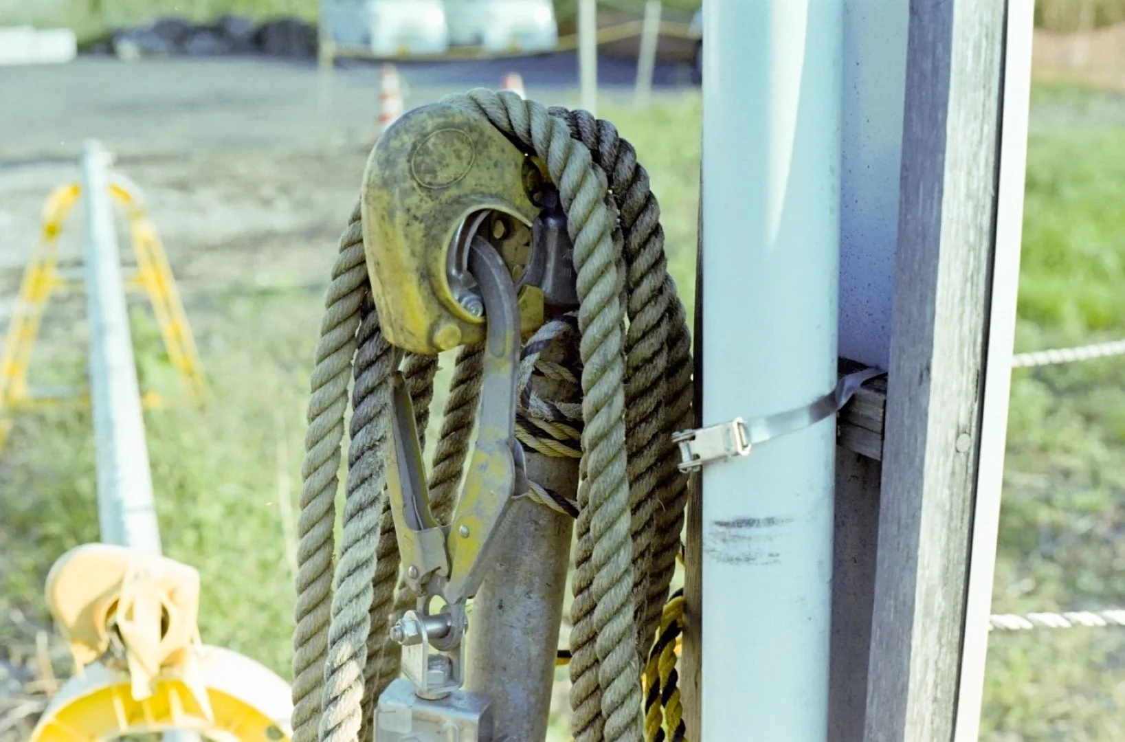 コニカSIIで撮った写真