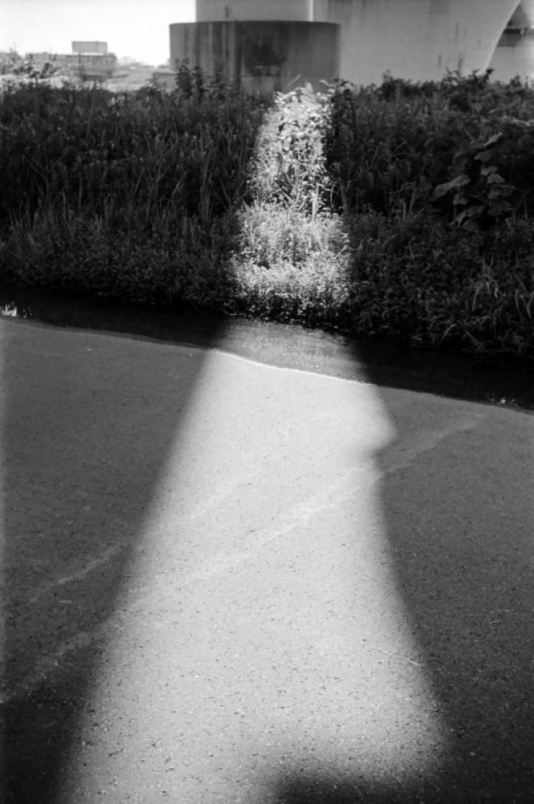 Kowa 35Nで撮った写真