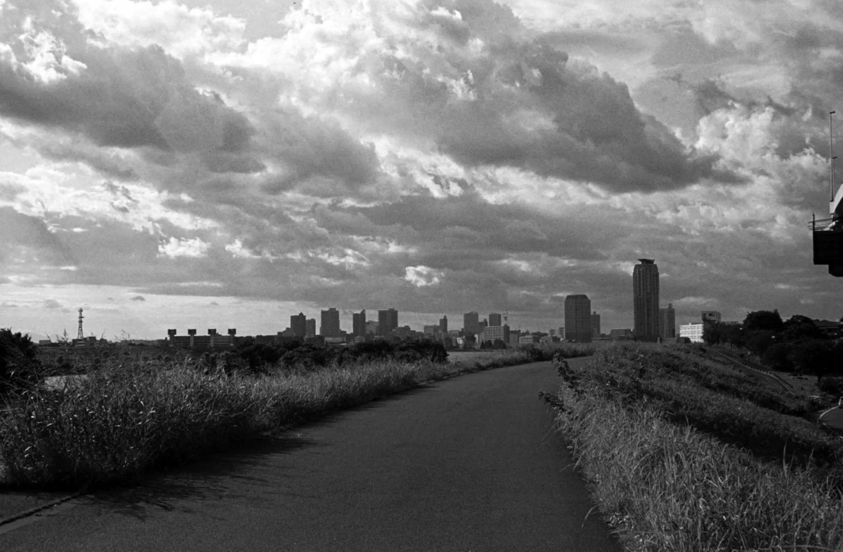 Mamiya 35 Auto Deluxe 2で撮った写真