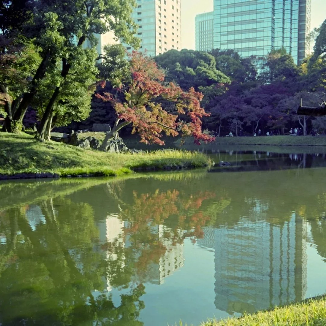 マミヤシックスK型で撮った写真