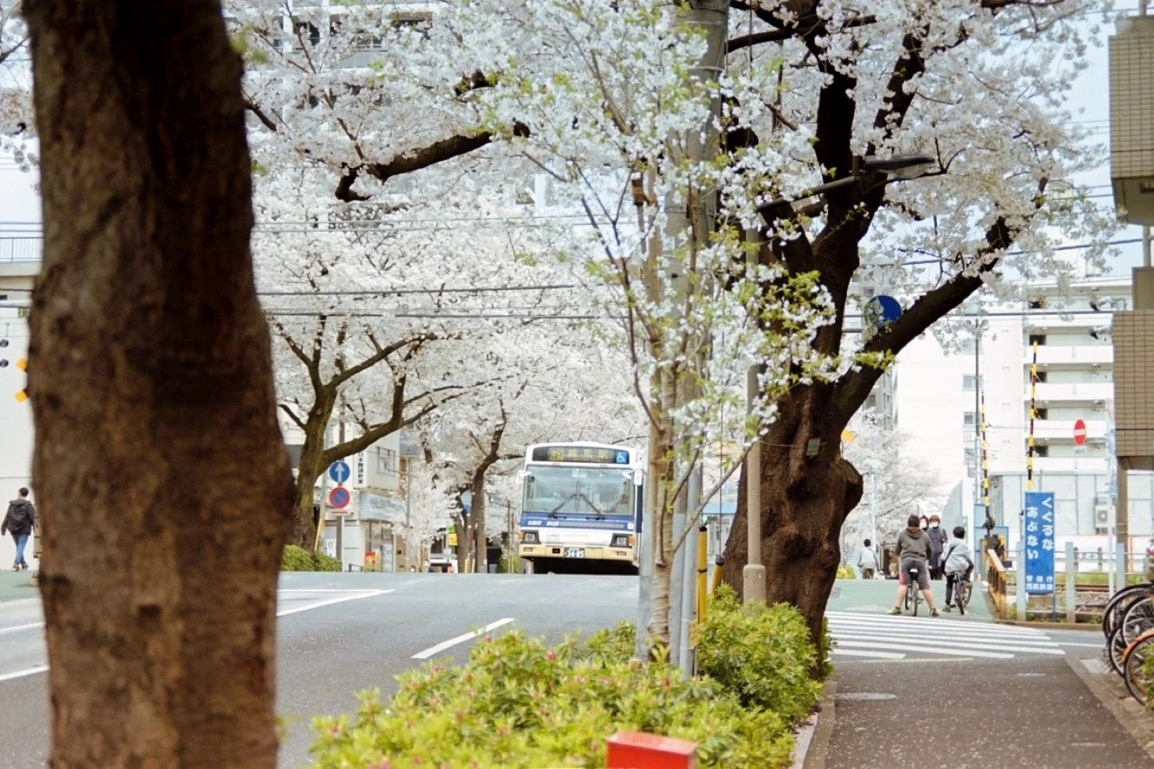 ミノルタα-7000の作例