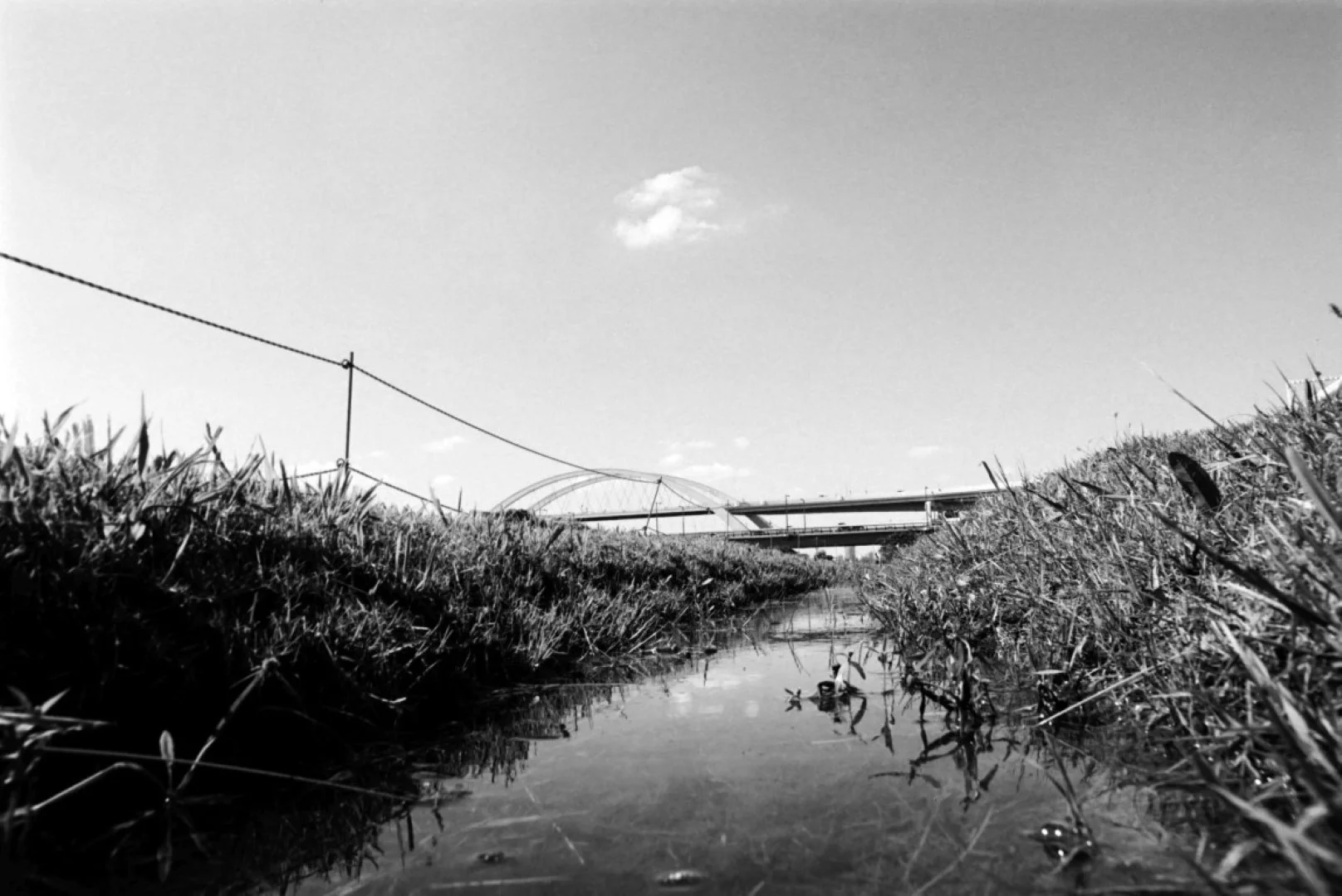 空が大きく入ったカット