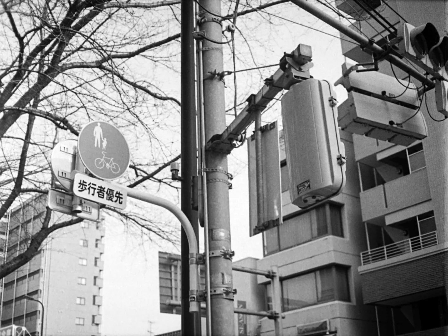 マミヤ マイラピッド 作例