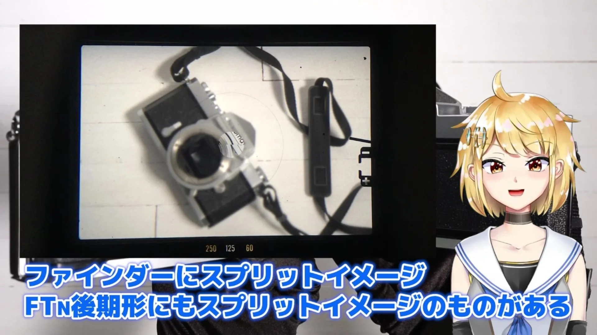 ファインダーにはスプリットイメージ