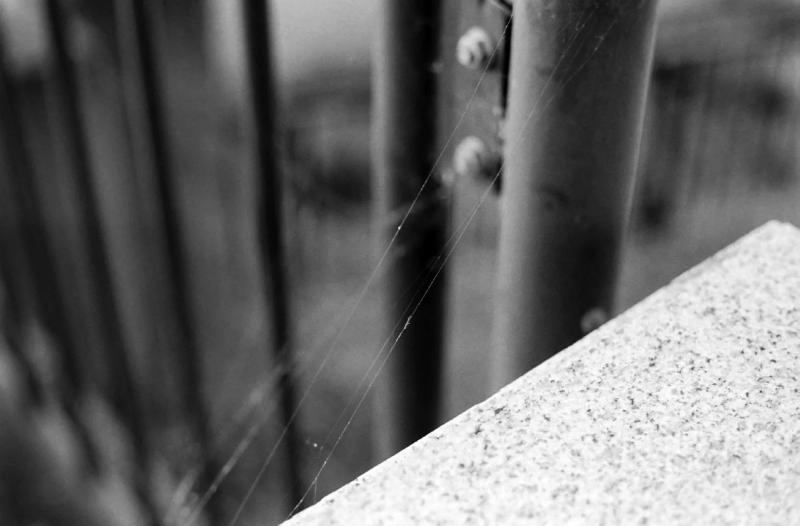 Nikomat FTN + Nikkor-H Auto 50mm F2で撮影した写真