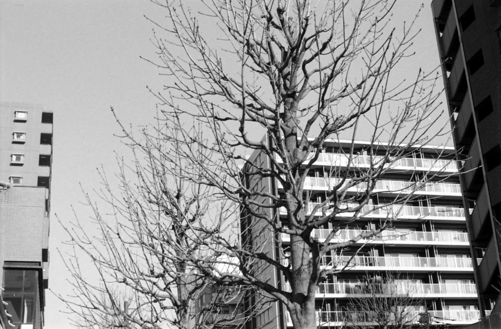 オリンパスOM-1作例