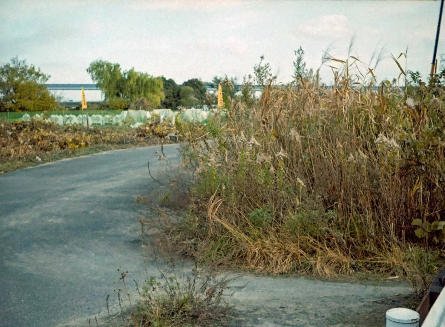 オリンパスペンS作例