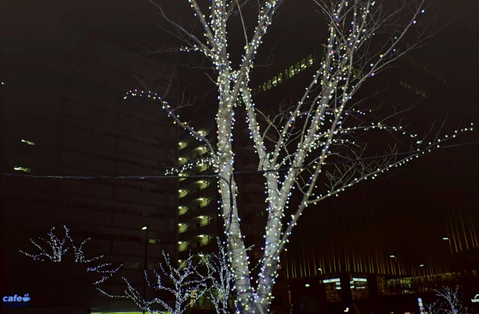 ストロボが勝手に光った写真