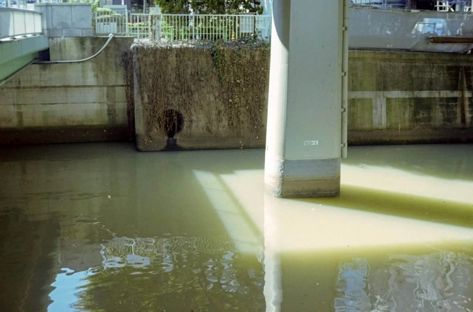 ペトリ プロ7作例