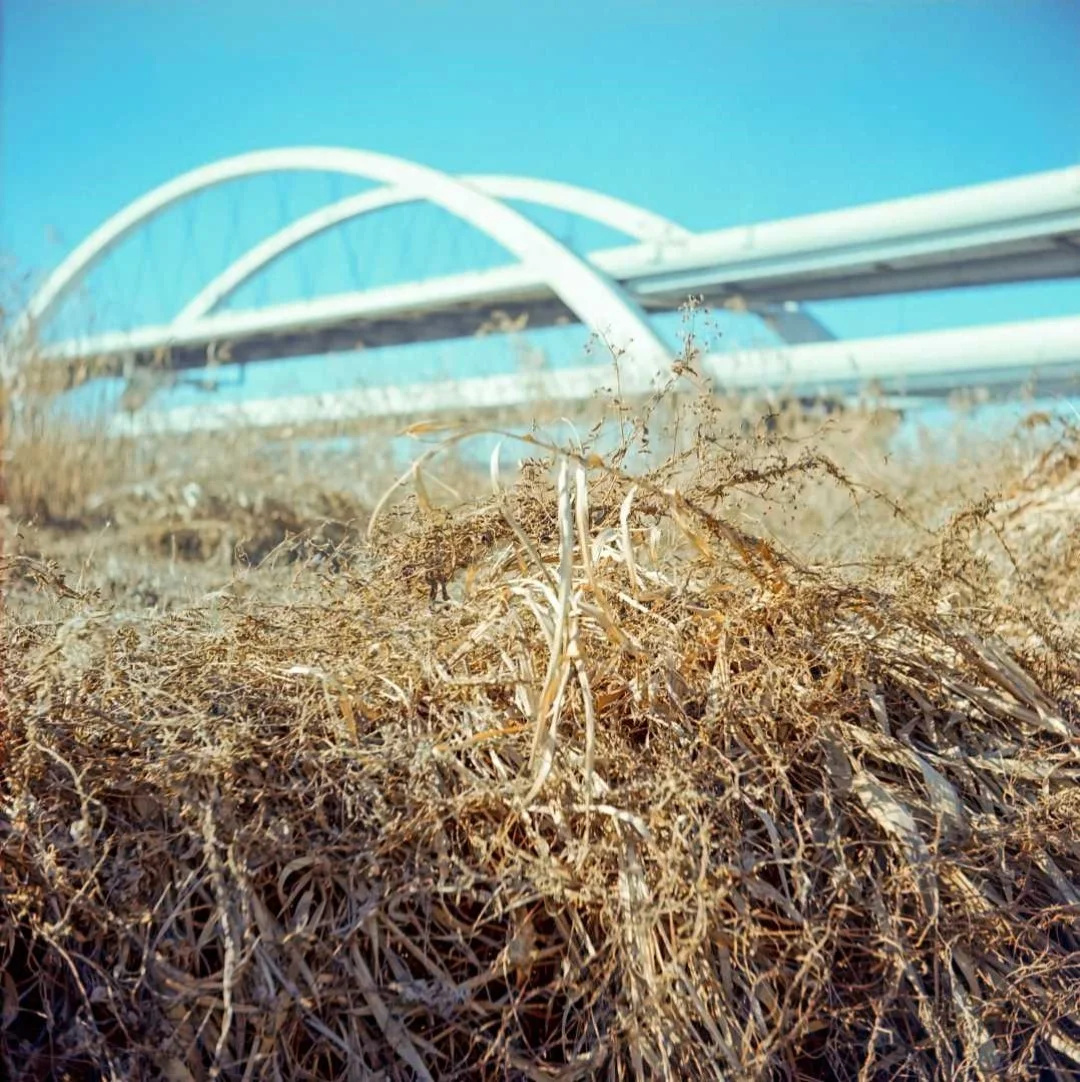 プリモフレックス4Aの作例