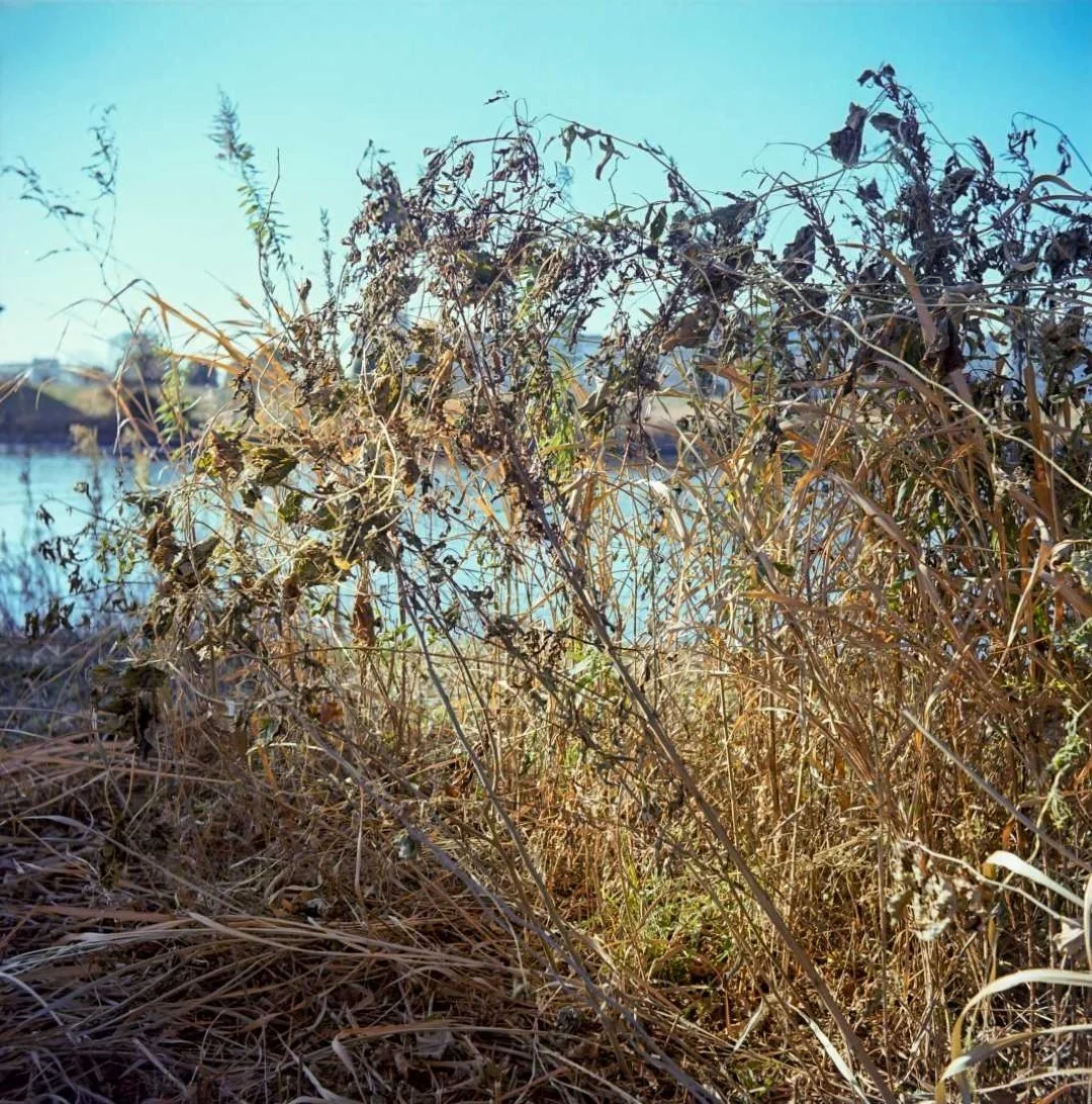 プリモフレックス4Aの作例