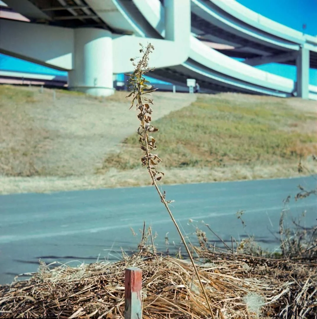 プリモフレックス4Aの作例