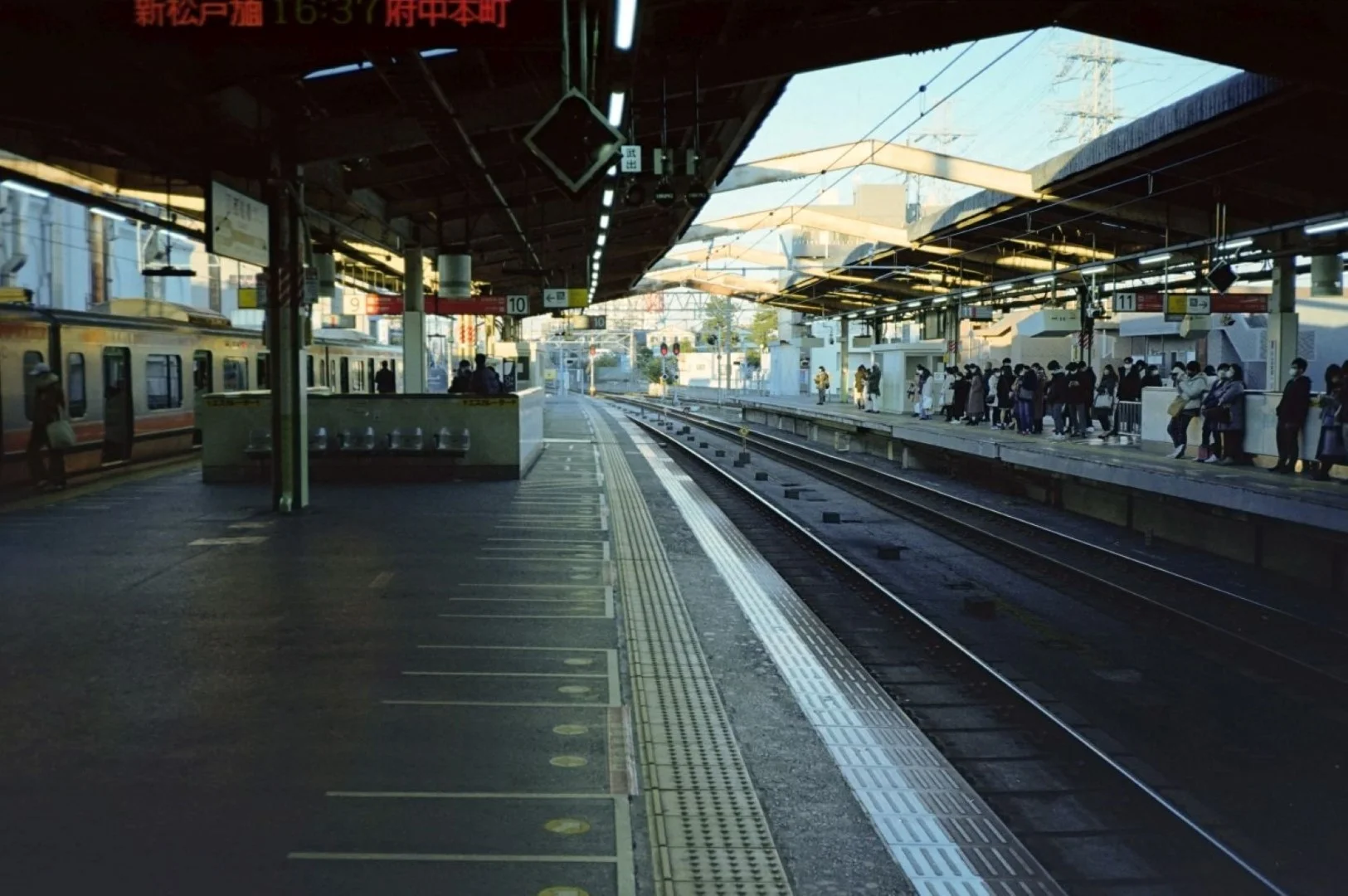 Rollei Flash 35 AFで撮った写真