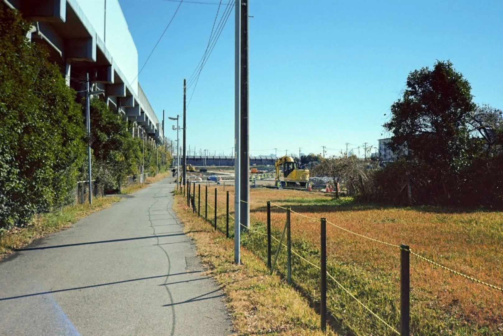 Rollei Flash 35 AFで撮った写真