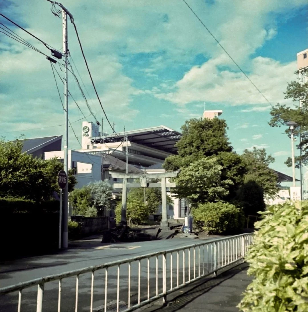 SEMFLEX Standard T950で撮影した写真