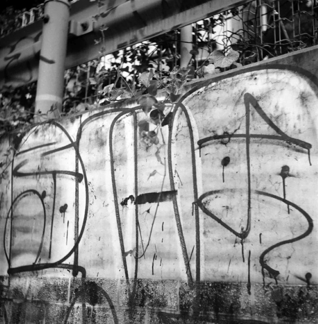 SEMFLEX Standard T950で撮影した写真