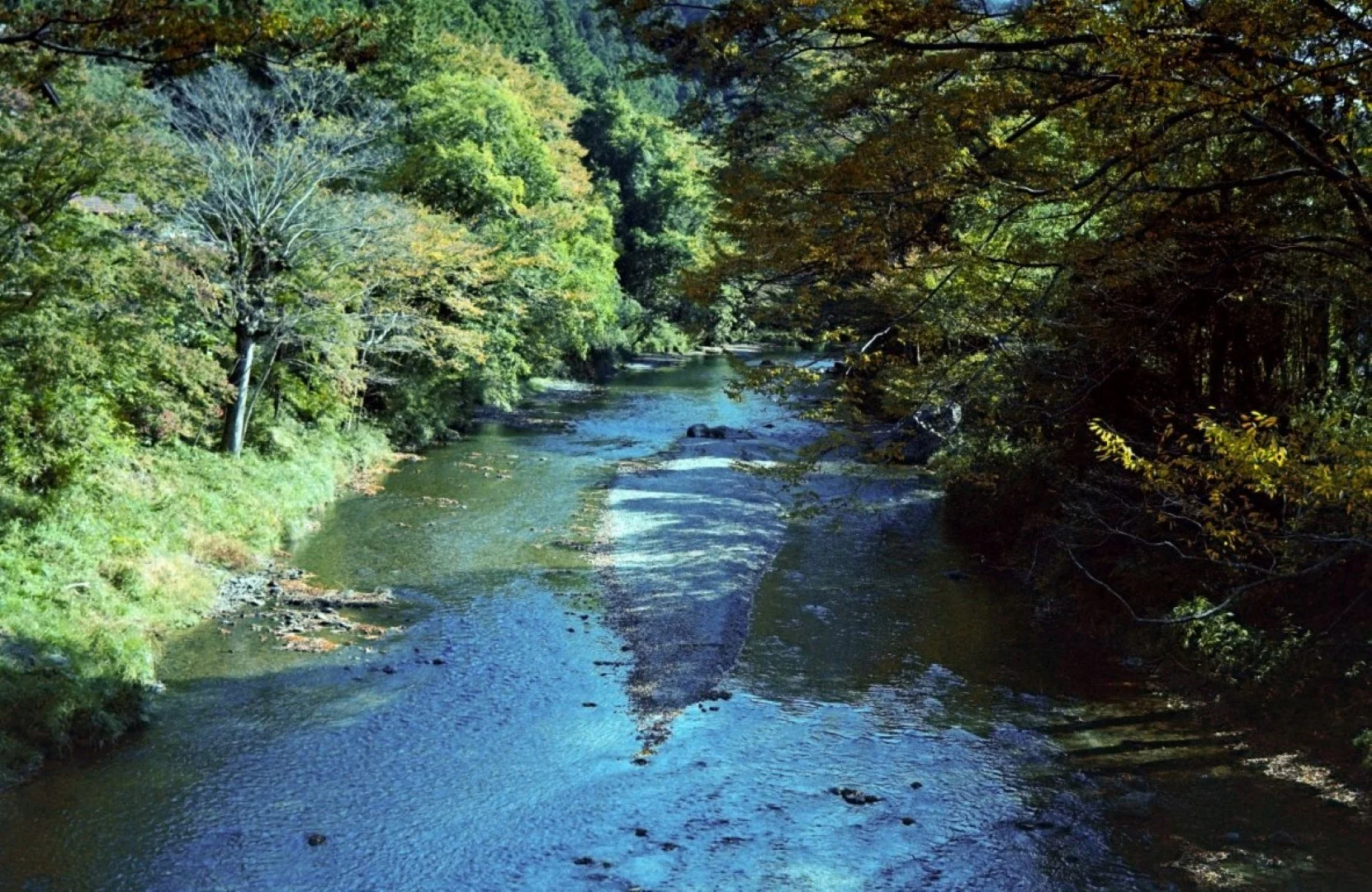 上海申光400 撮影した写真