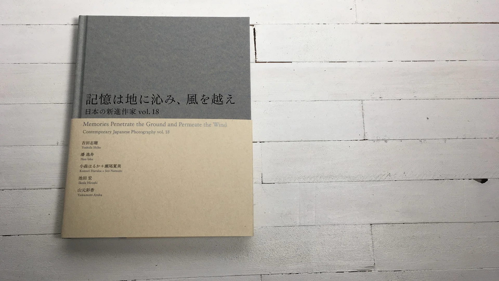 記憶は地に沁み、風を越え 日本の新進作家 vol.18 図録