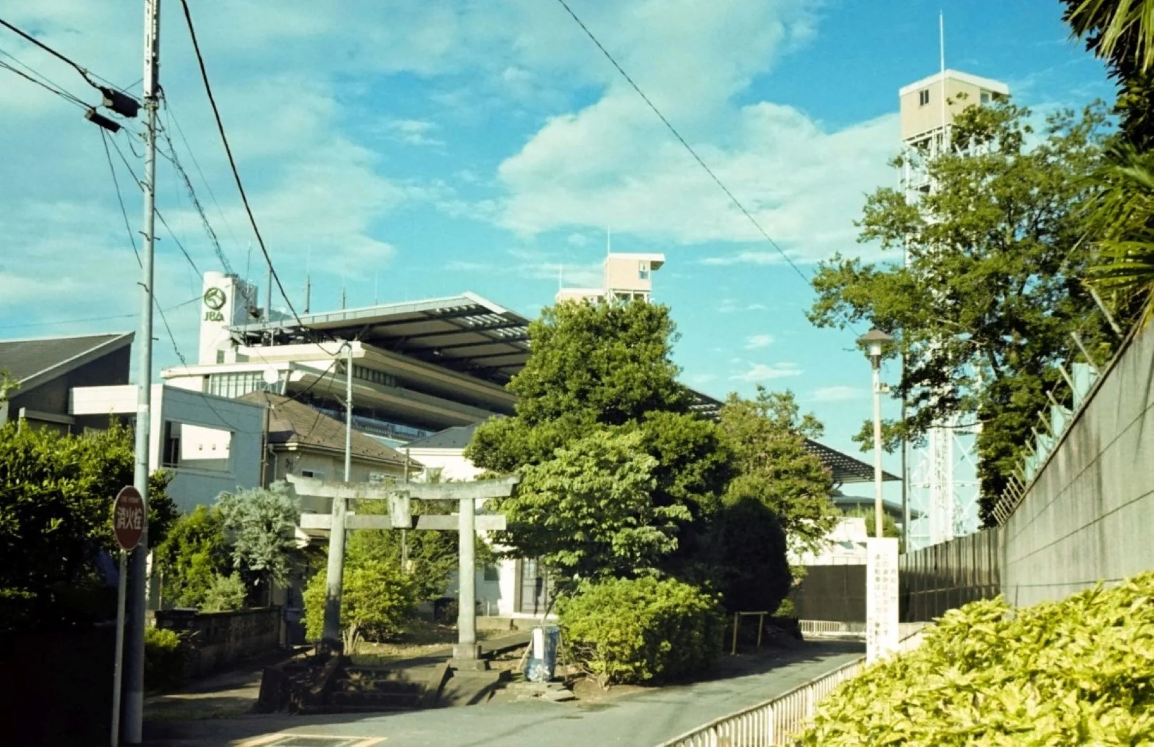 スメナ35で撮った写真