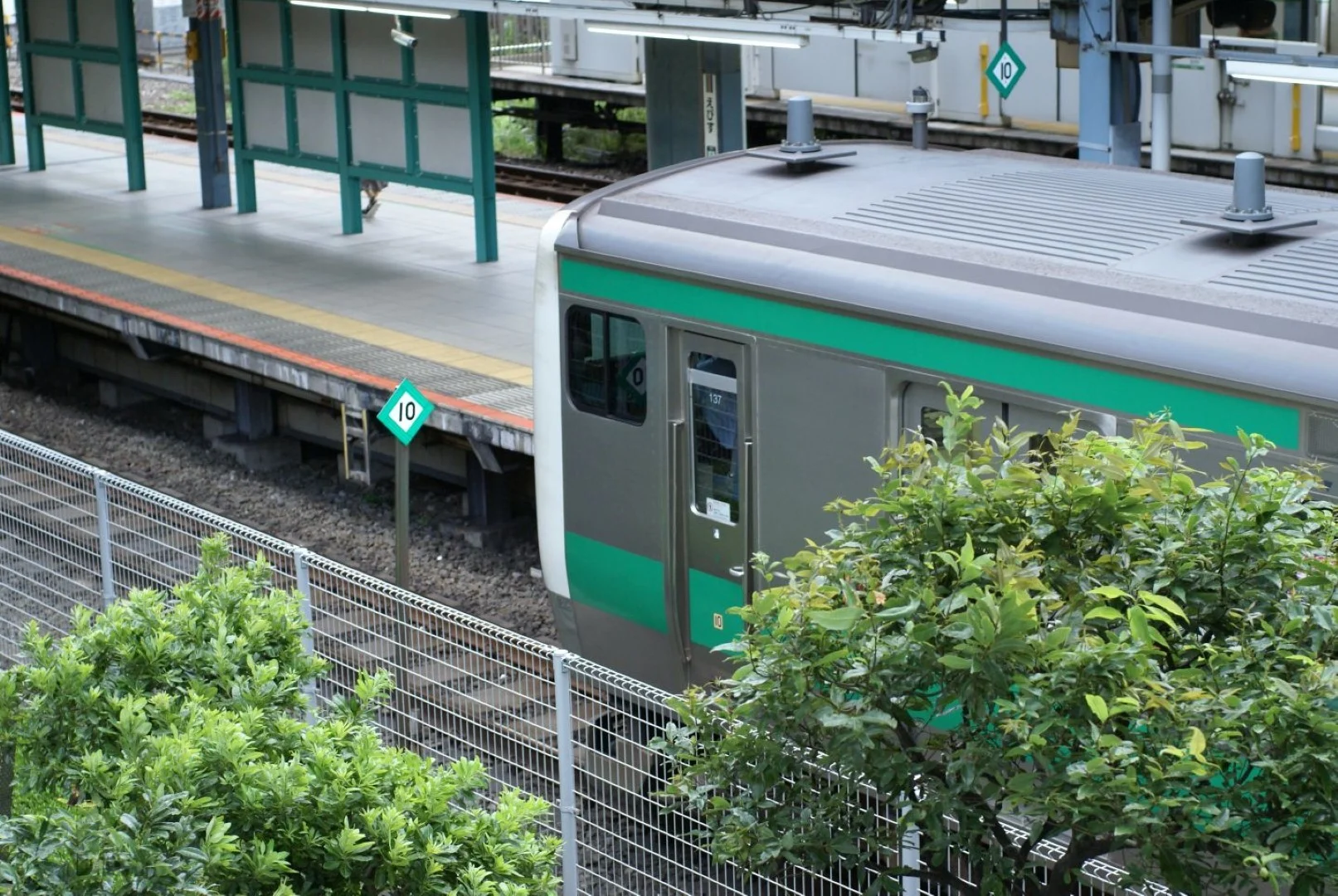 SONY α100とMINOLTA AF MACRO 50mm F2.8 作例