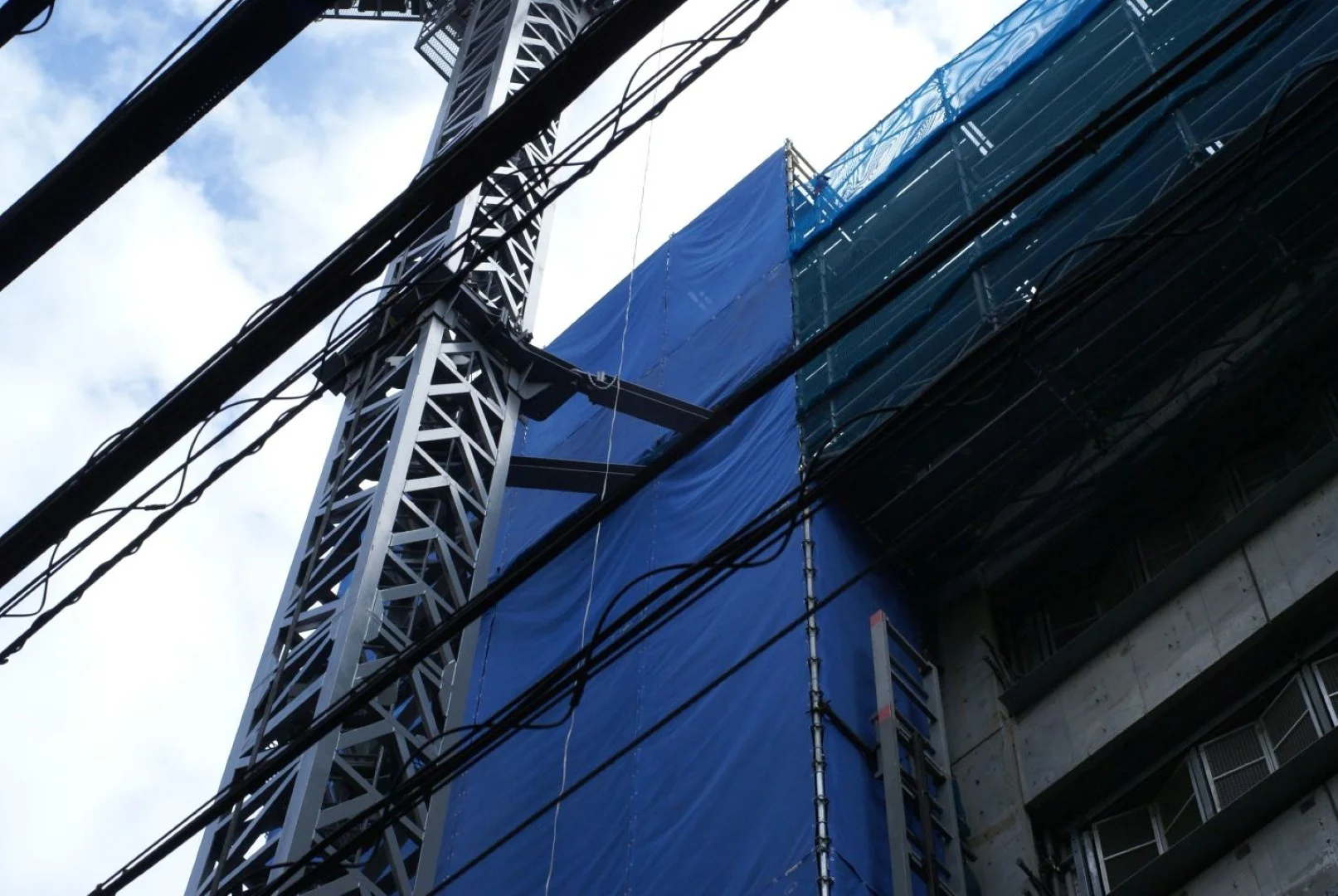 SONY α100とMINOLTA AF MACRO 50mm F2.8 作例