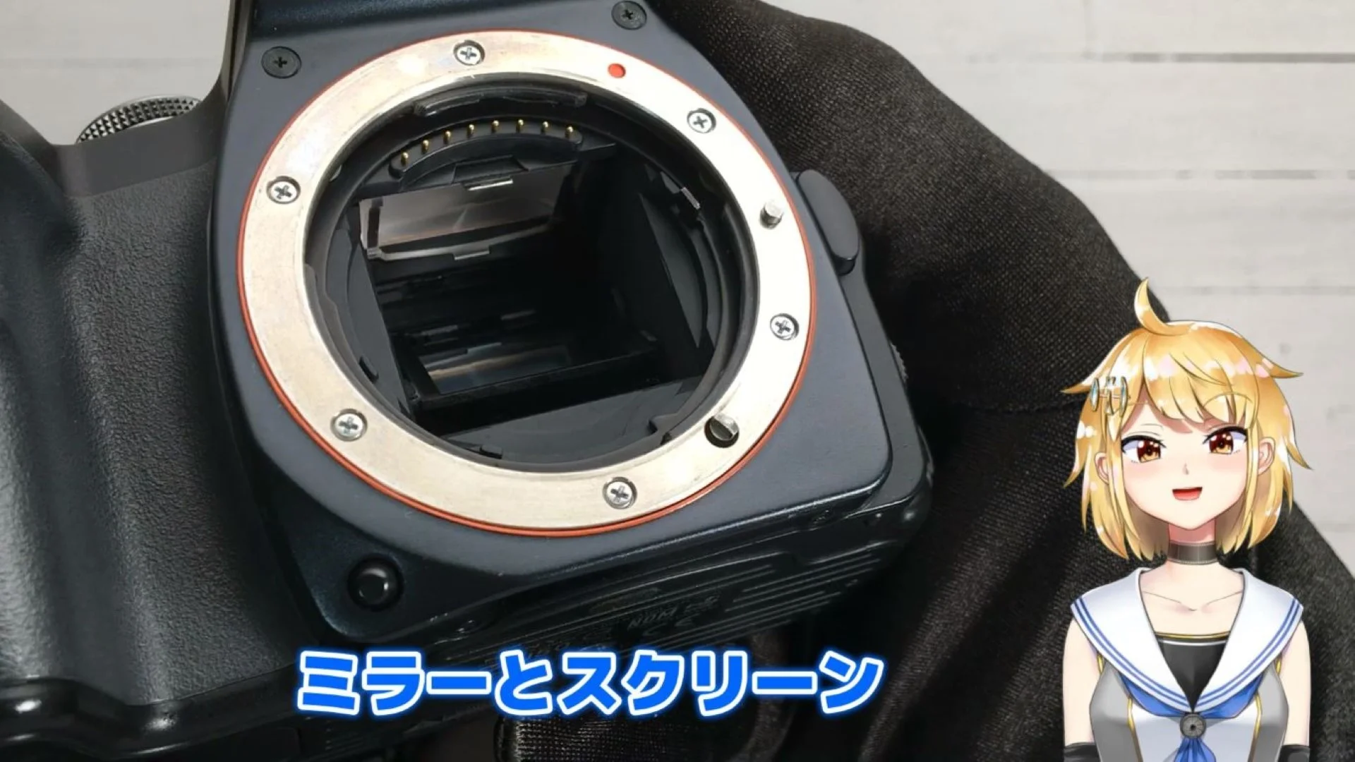 ミラーとスクリーン