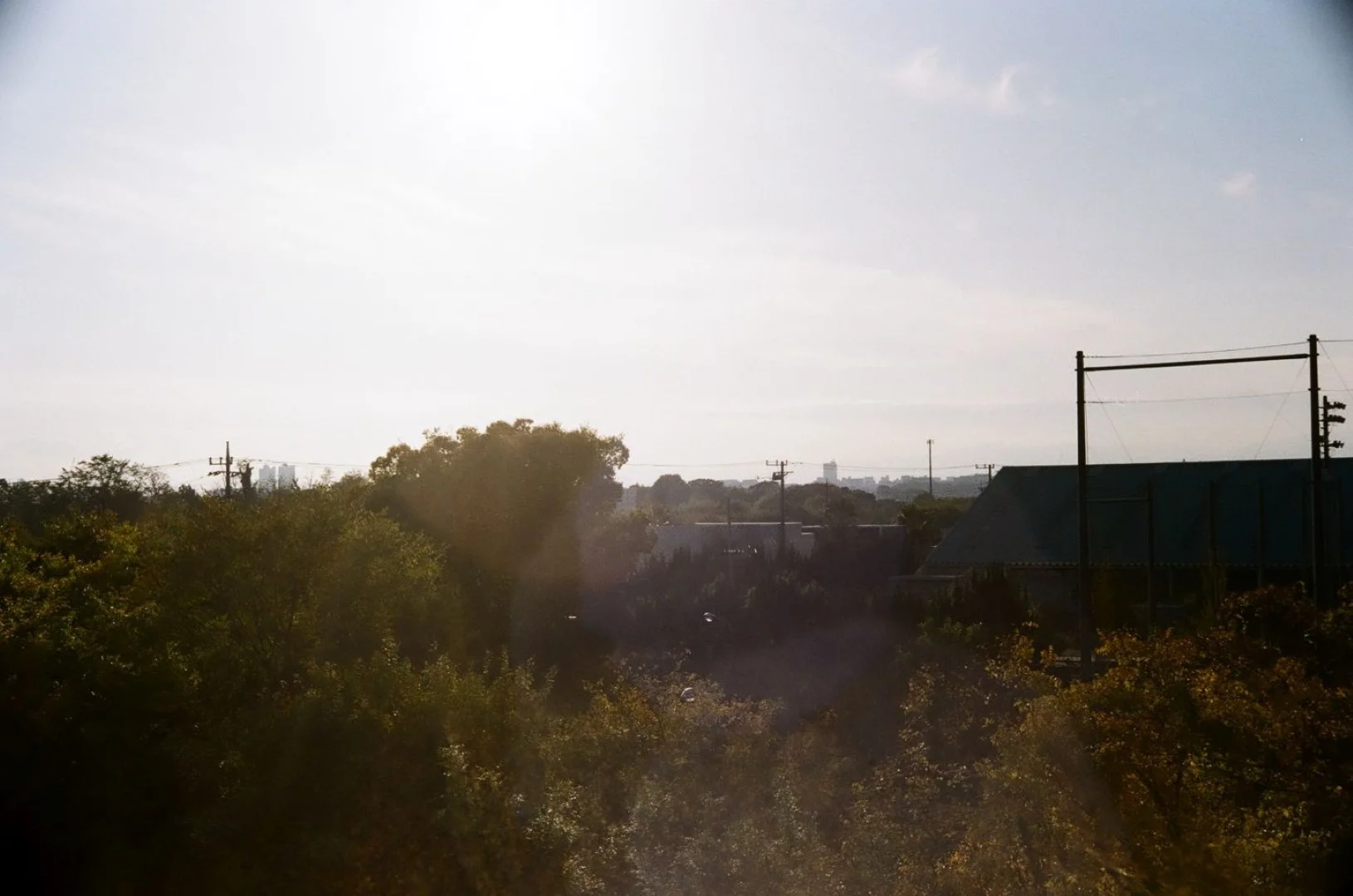 SUPER ROKKOR 45mm F2.8追加作例(ボディはZorki-1)