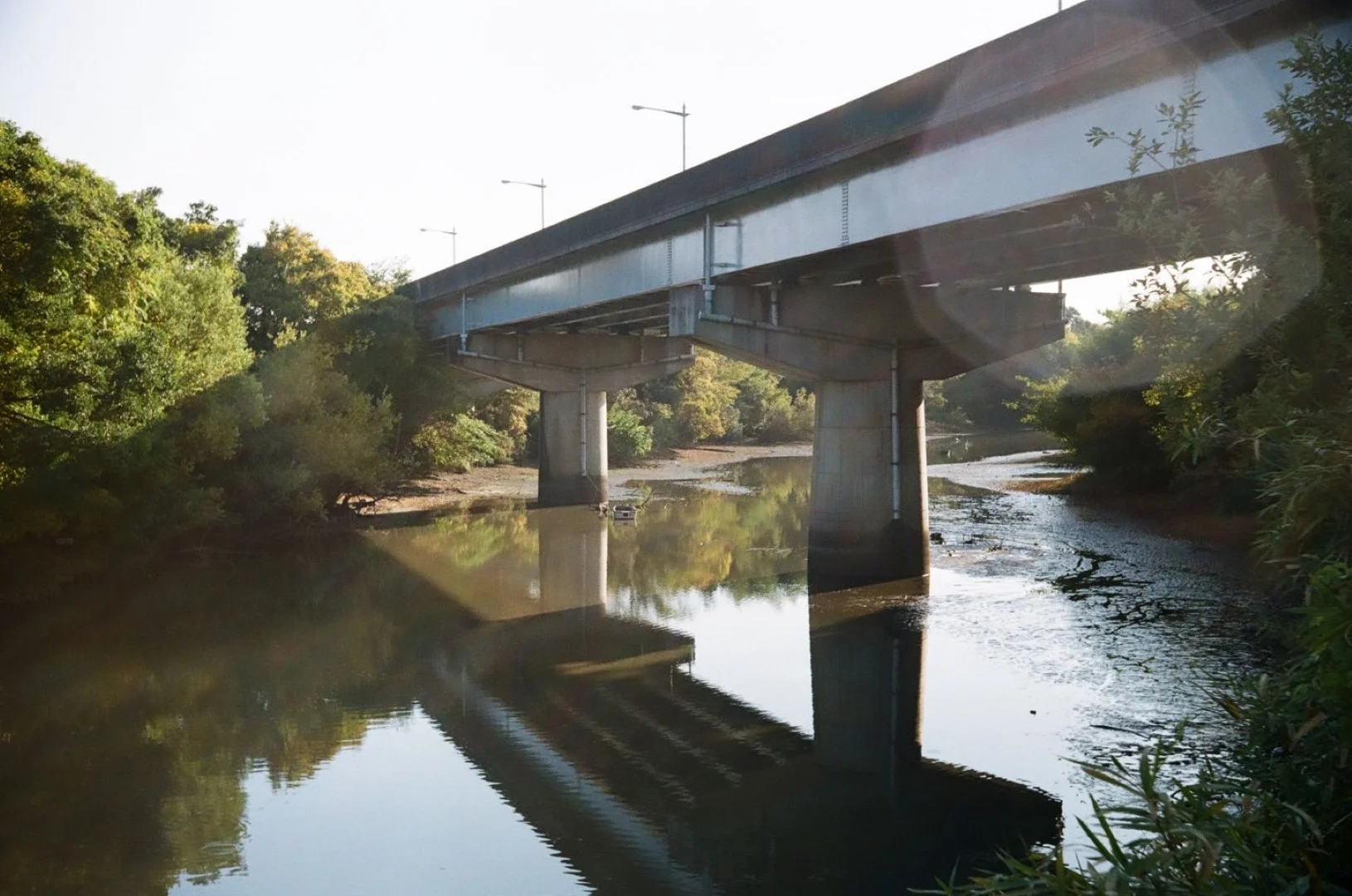 SUPER ROKKOR 45mm F2.8追加作例(ボディはZorki-1)