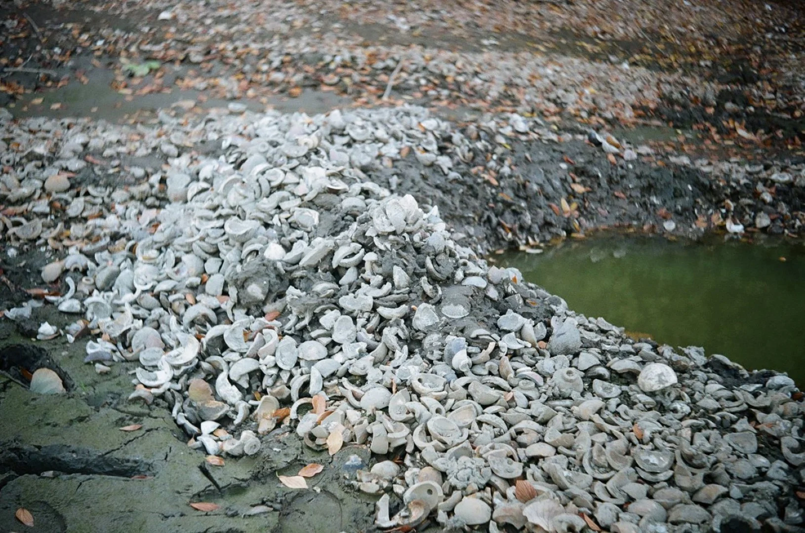 SUPER ROKKOR 45mm F2.8追加作例(ボディはZorki-1)