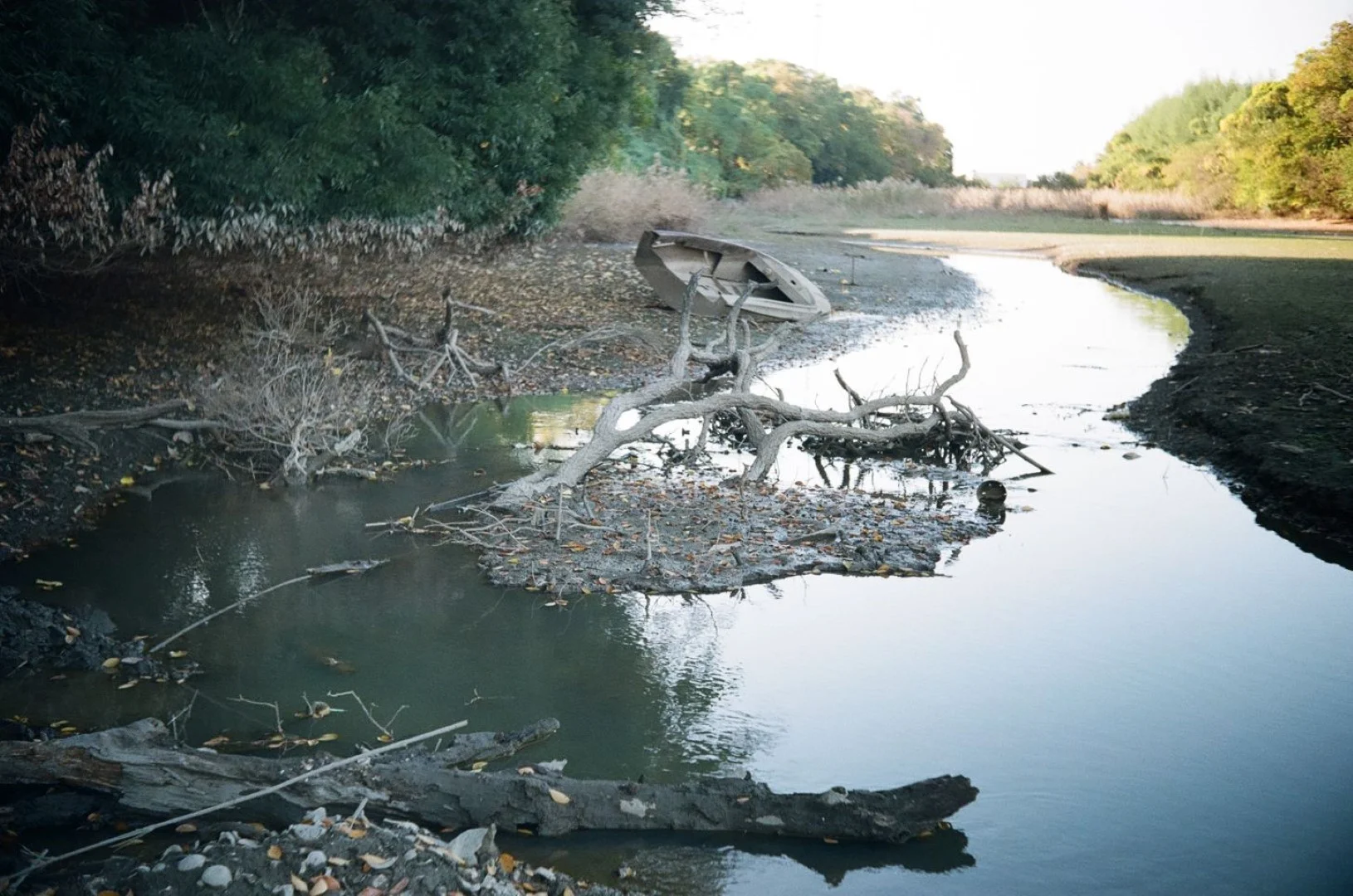 SUPER ROKKOR 45mm F2.8追加作例(ボディはZorki-1)