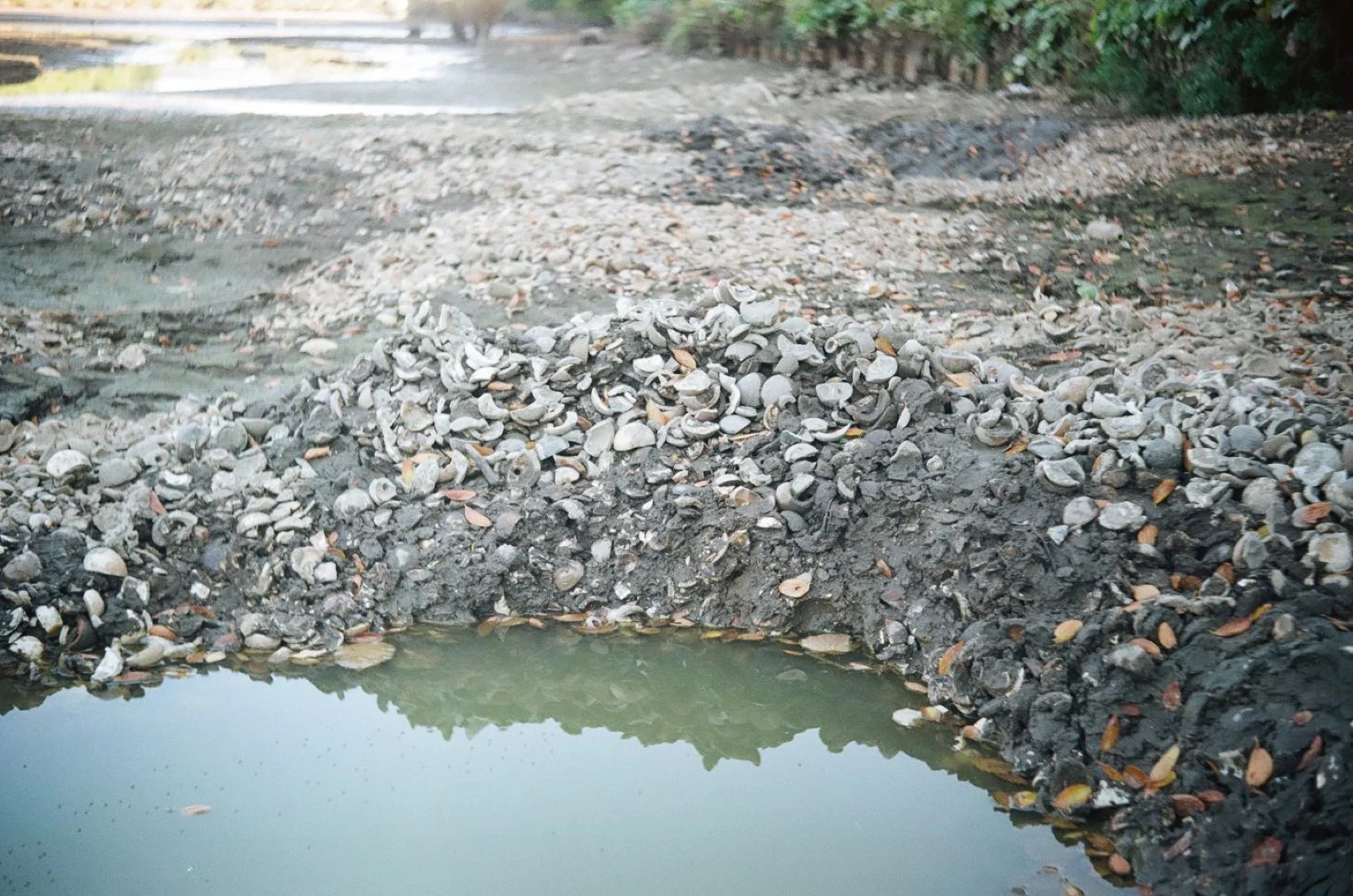 SUPER ROKKOR 45mm F2.8追加作例(ボディはZorki-1)