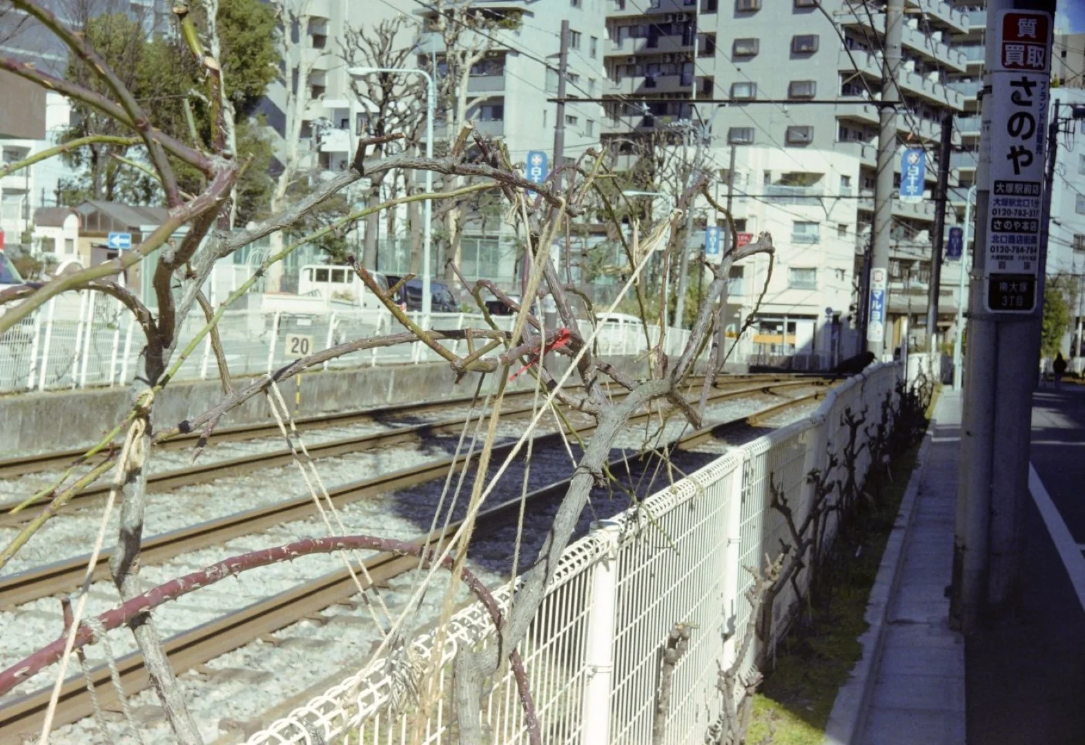 Minolta 35 II + SUPER ROKKOR 45mm F2.8作例