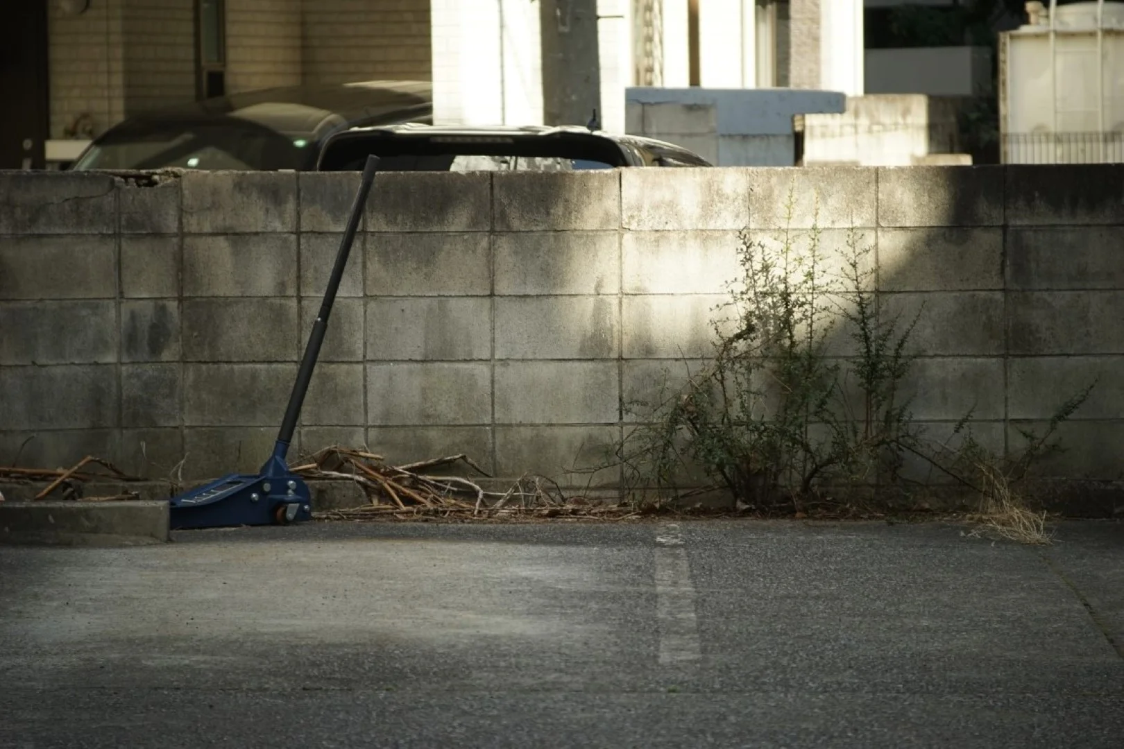 泰成光学 タムロン200mm F6.3 作例