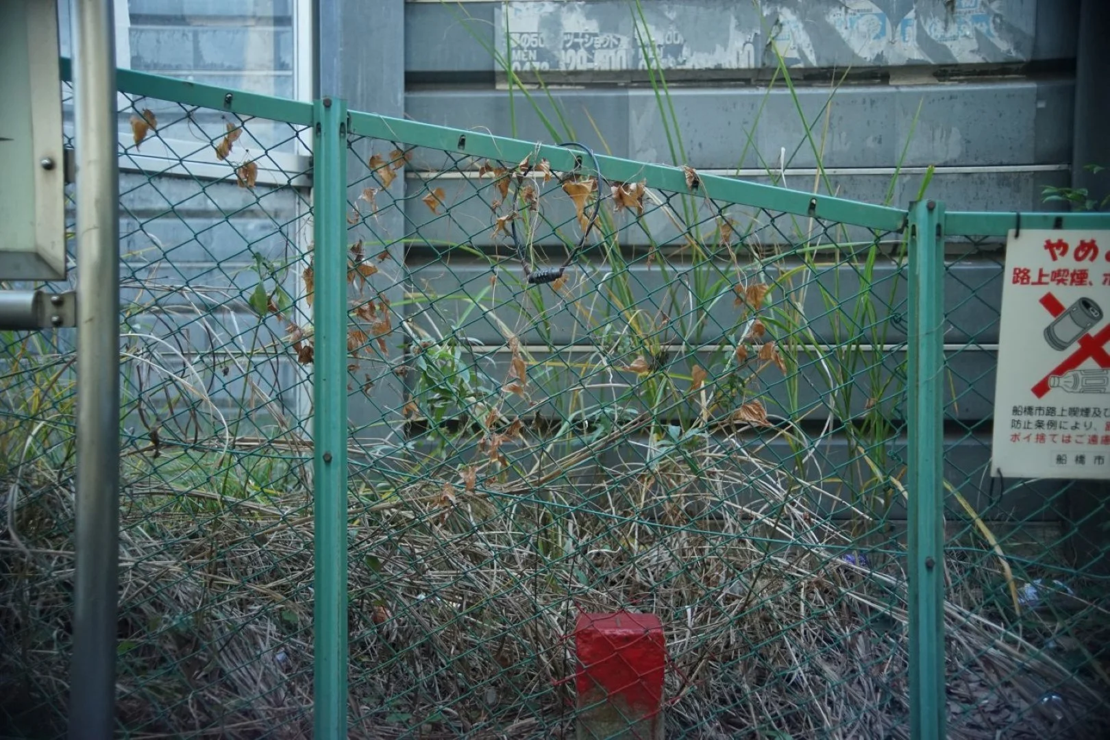 広角で2mくらい 開放