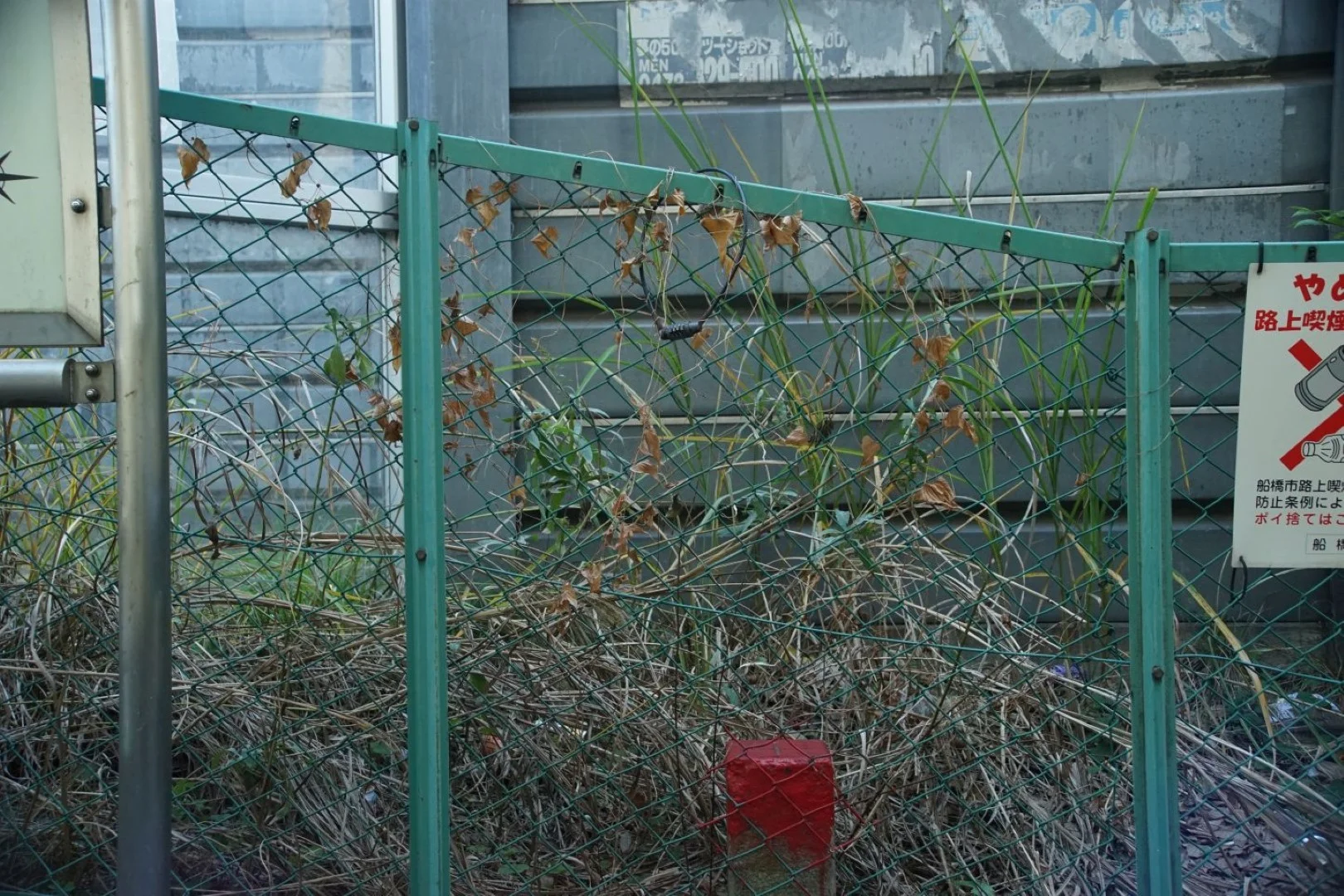 広角で2mくらい F8