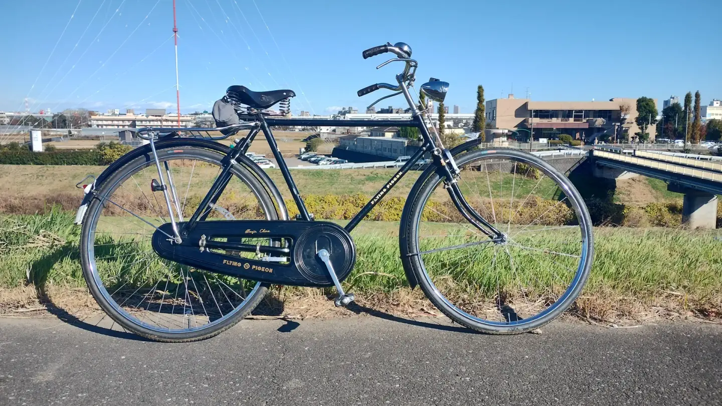 天津飞鸽PA-22 全体 2025年11月撮影