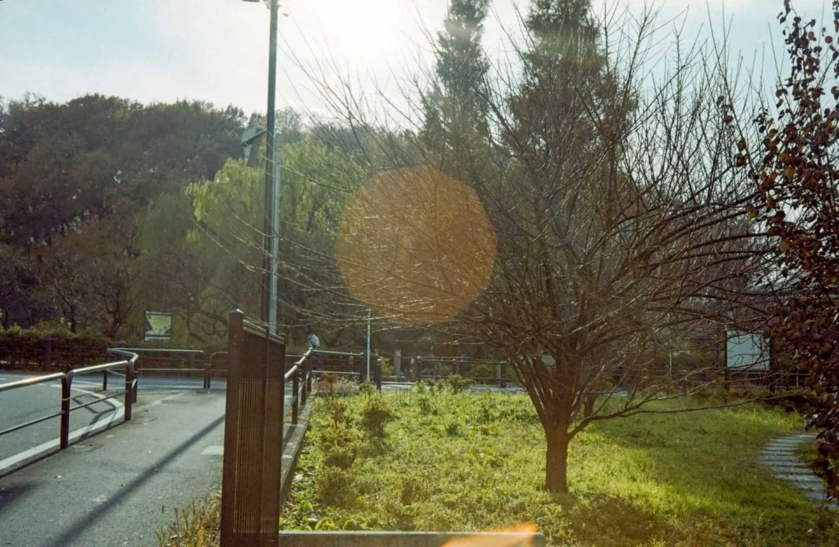 トプコン35-S作例