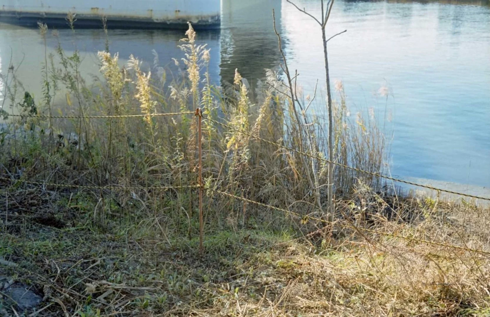 トプコン35-S作例