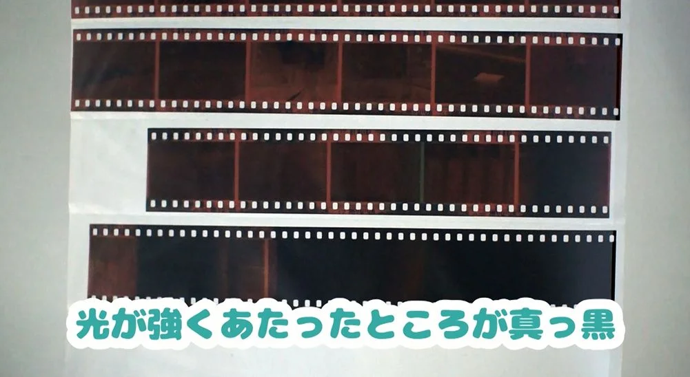 巻き戻す前に意図的にカメラの蓋を開けたフィルム