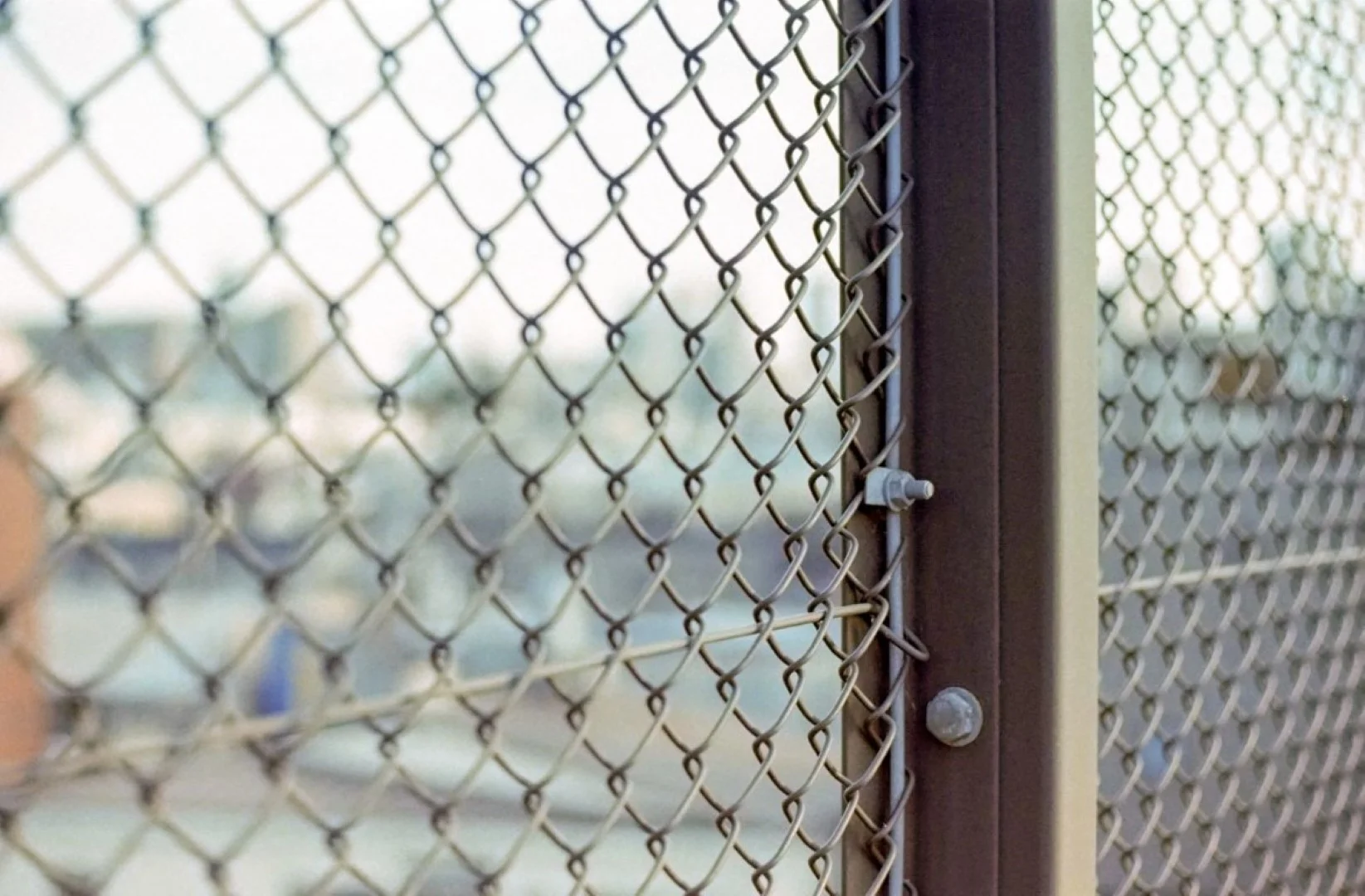 Yashica FRで撮影した写真