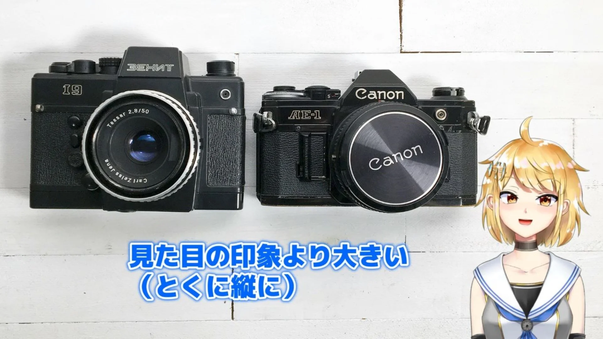 見た目の印象から感じるよりもけっこう大きなカメラ