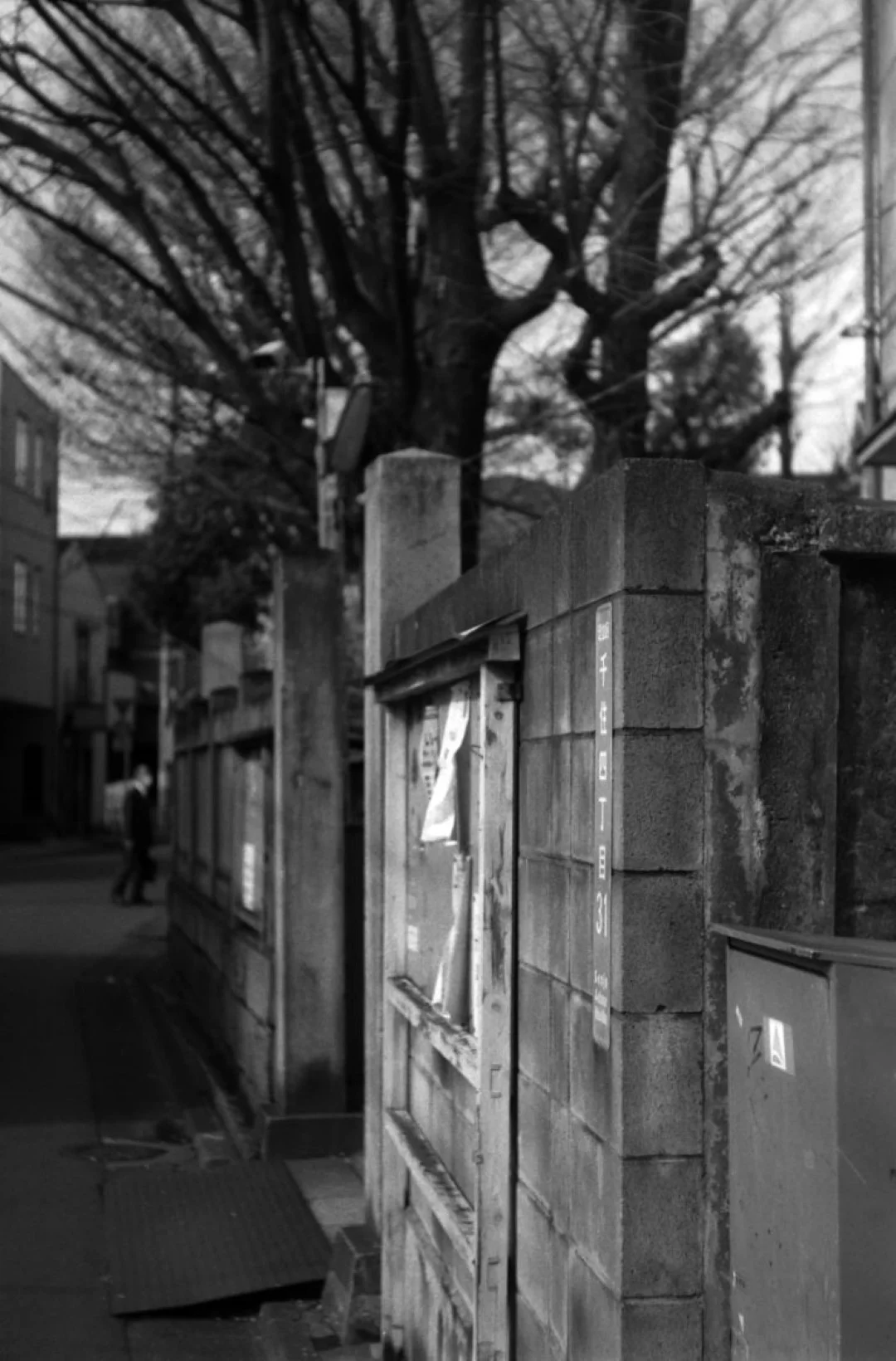 ZENIT-19とTessar 50mm F2.8作例