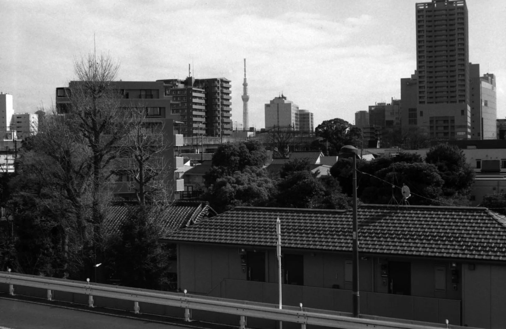 ZENIT-19とTessar 50mm F2.8作例