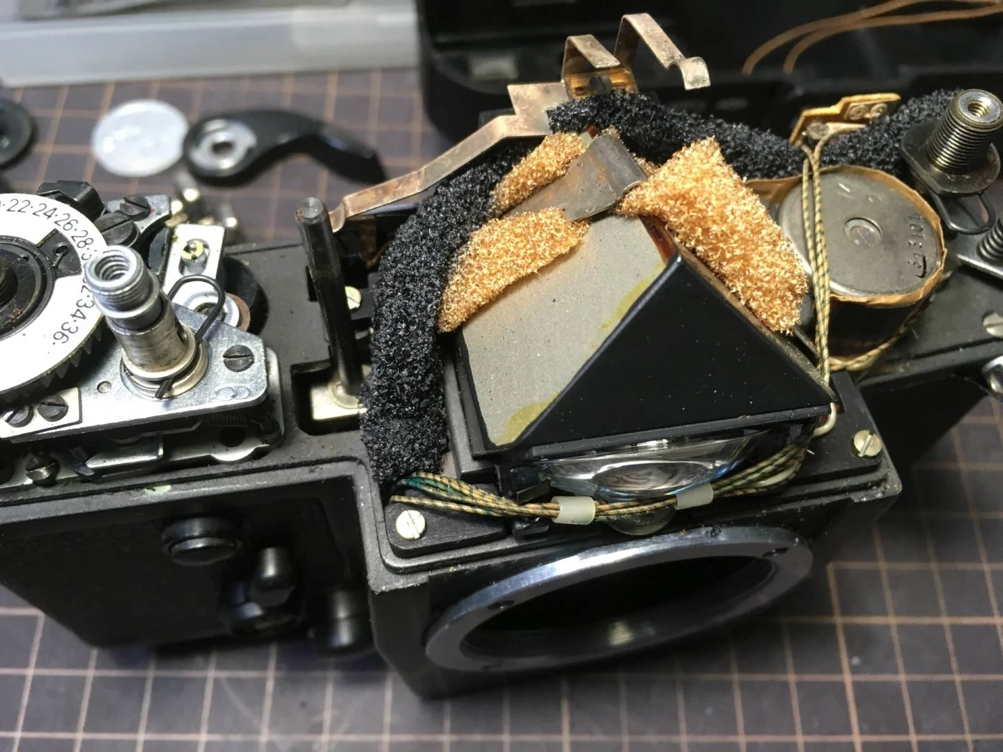 ファインダーのモルト