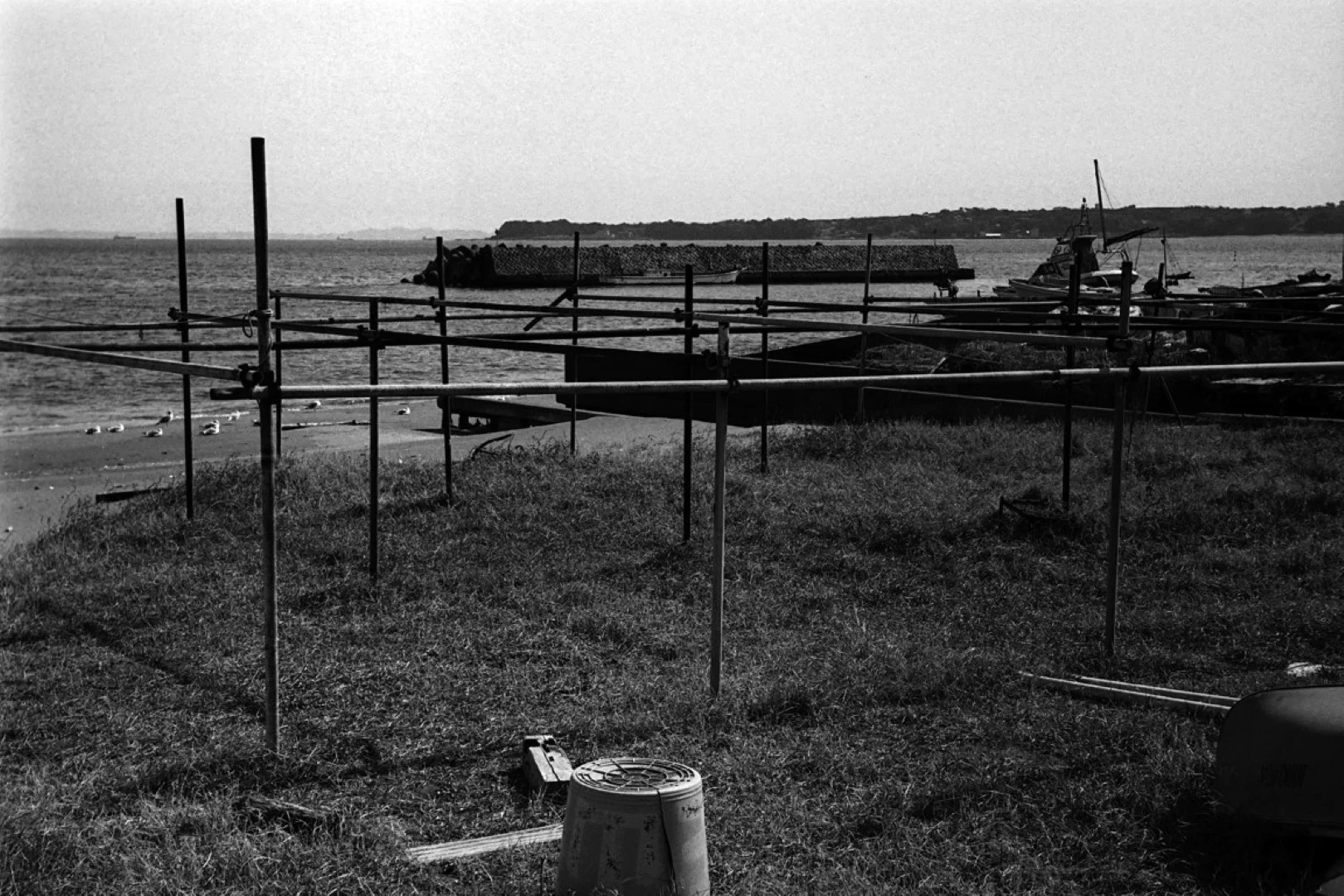 ゾルキー1とジュピター8の作例